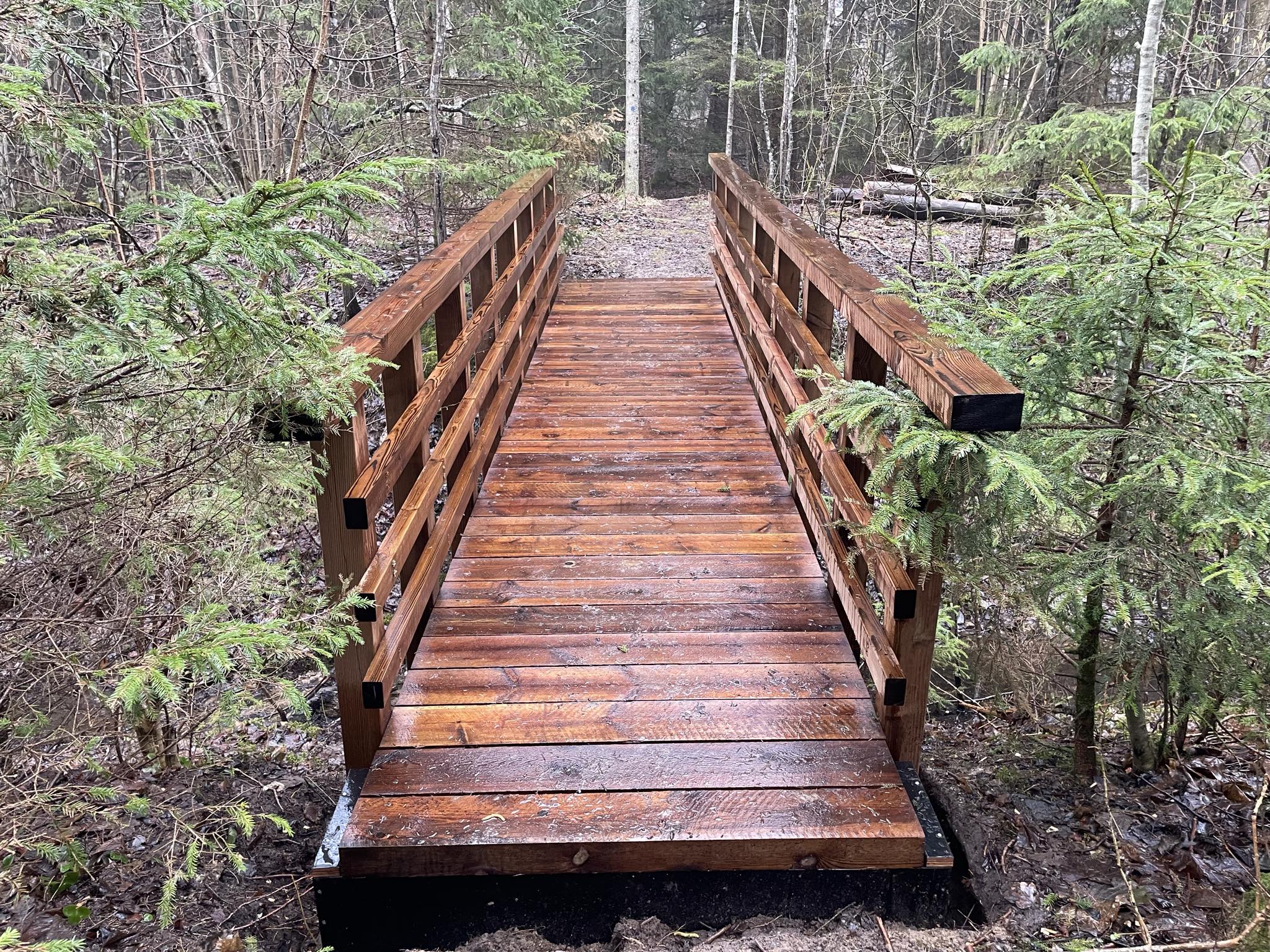 402dad3e-7e97-4ac2-a038-eeae7178b9f3