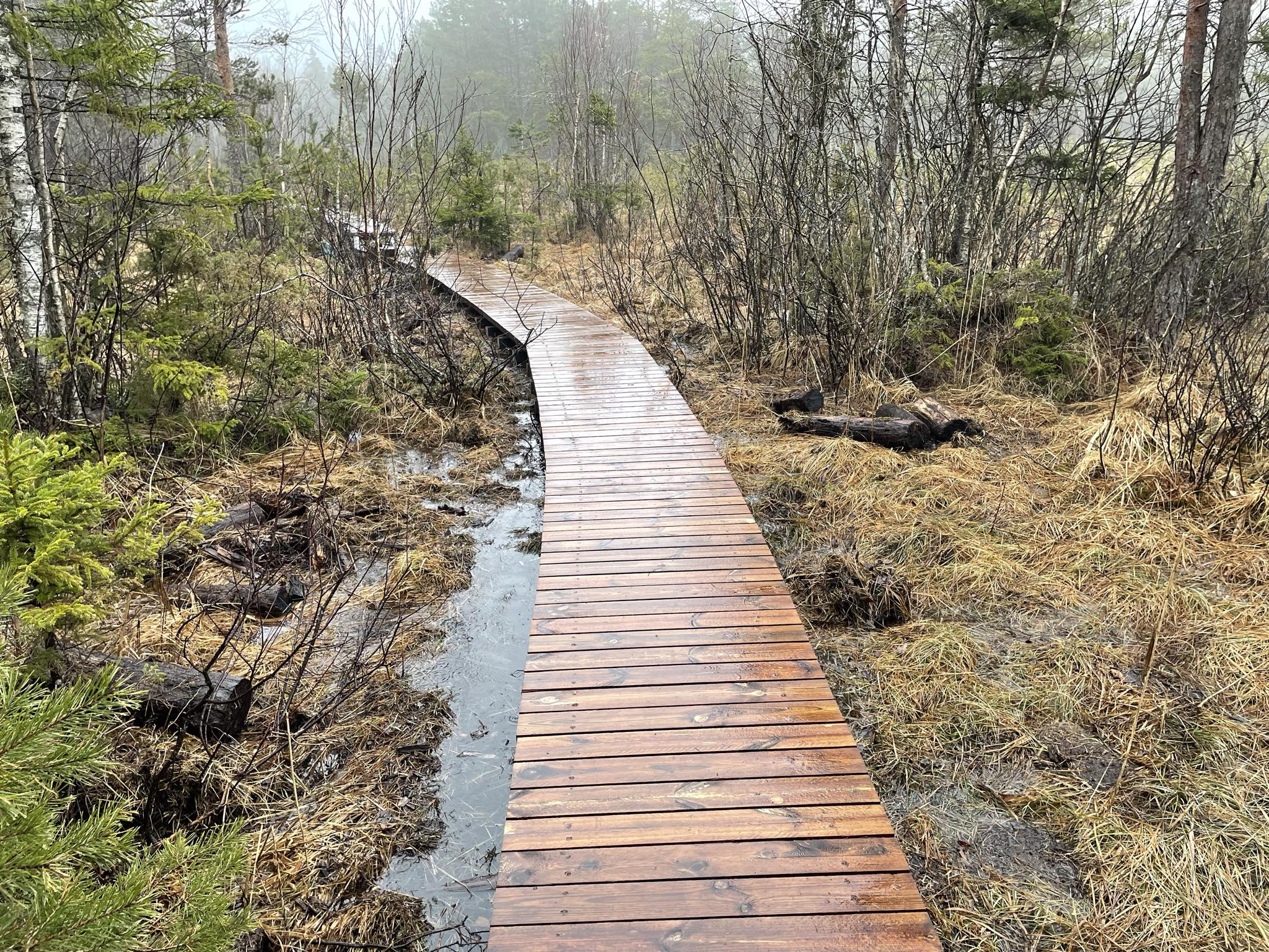 4b6ab22a-d988-4123-ac2d-3272b5a3d66f