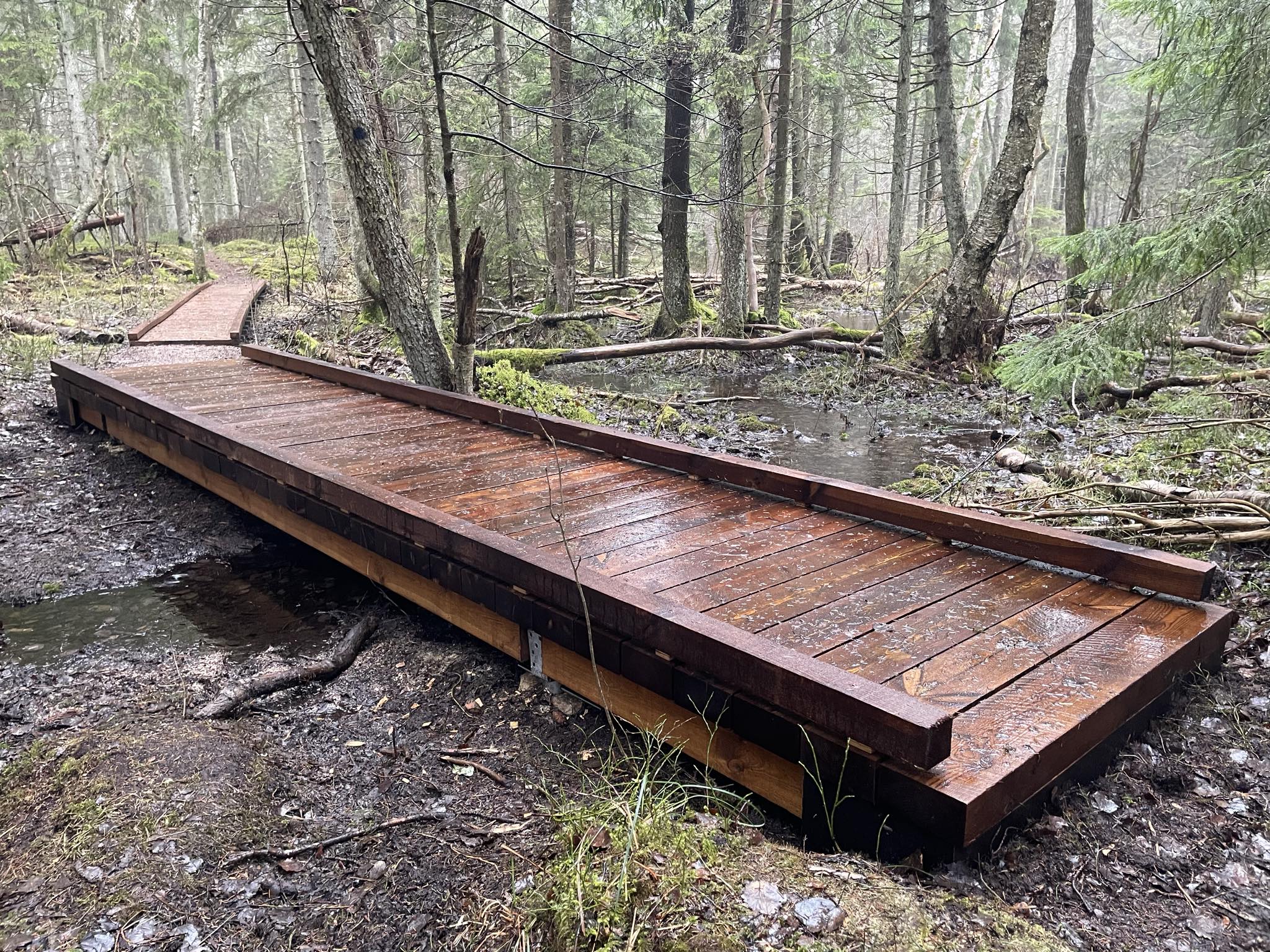 5174ffaa-0667-40bb-8183-cc8b59c99642