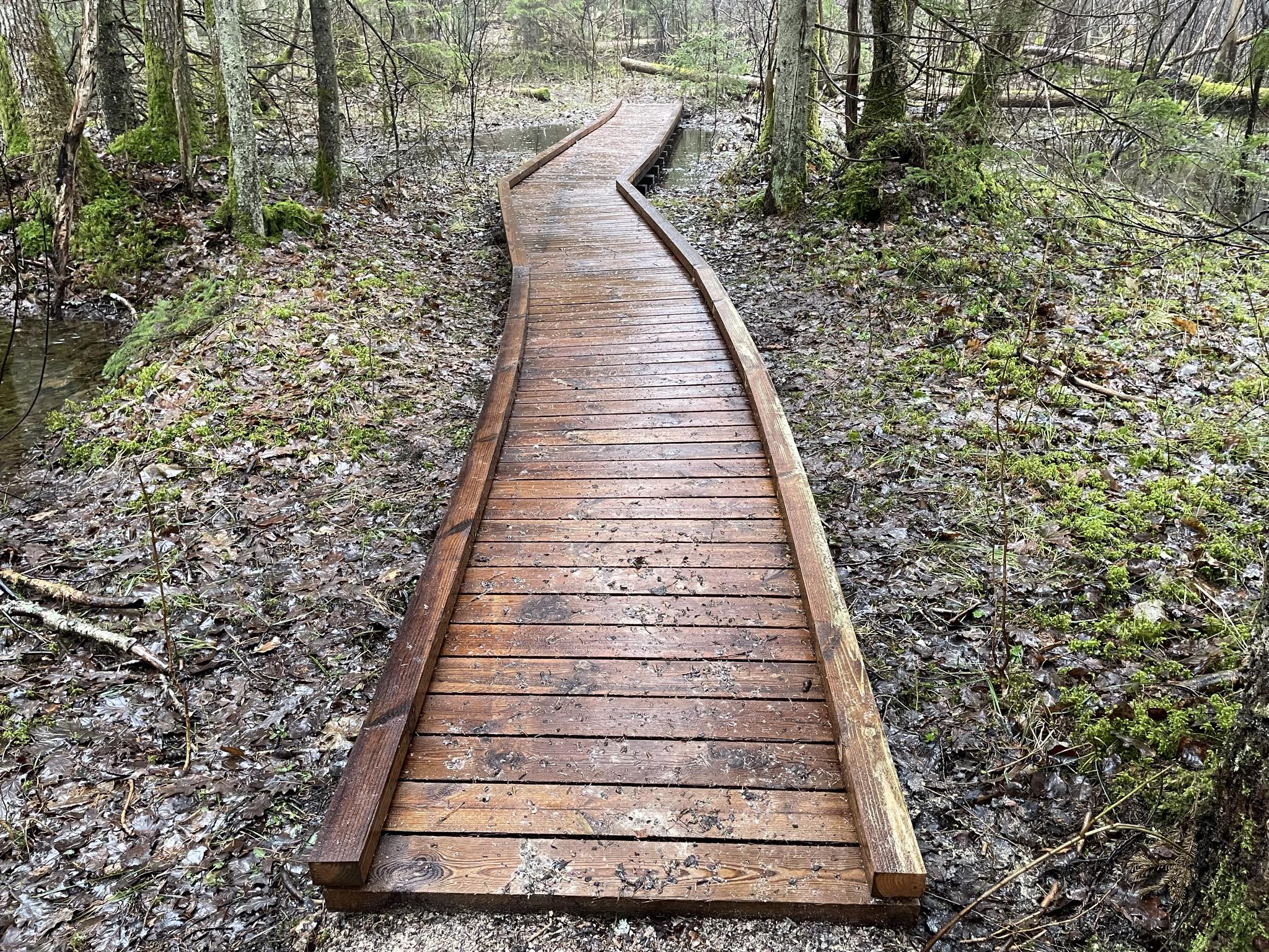 f0251631-eee0-4623-b476-13534063b107