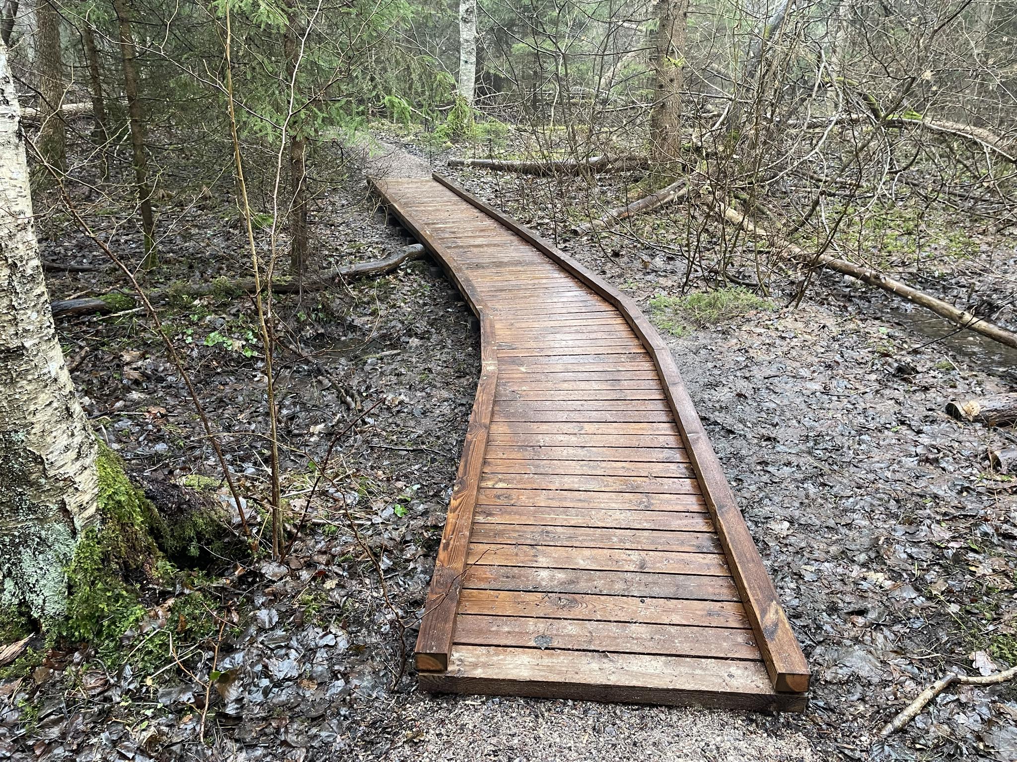 fc815c0b-a5ca-4f02-b2c8-0888641f43e0